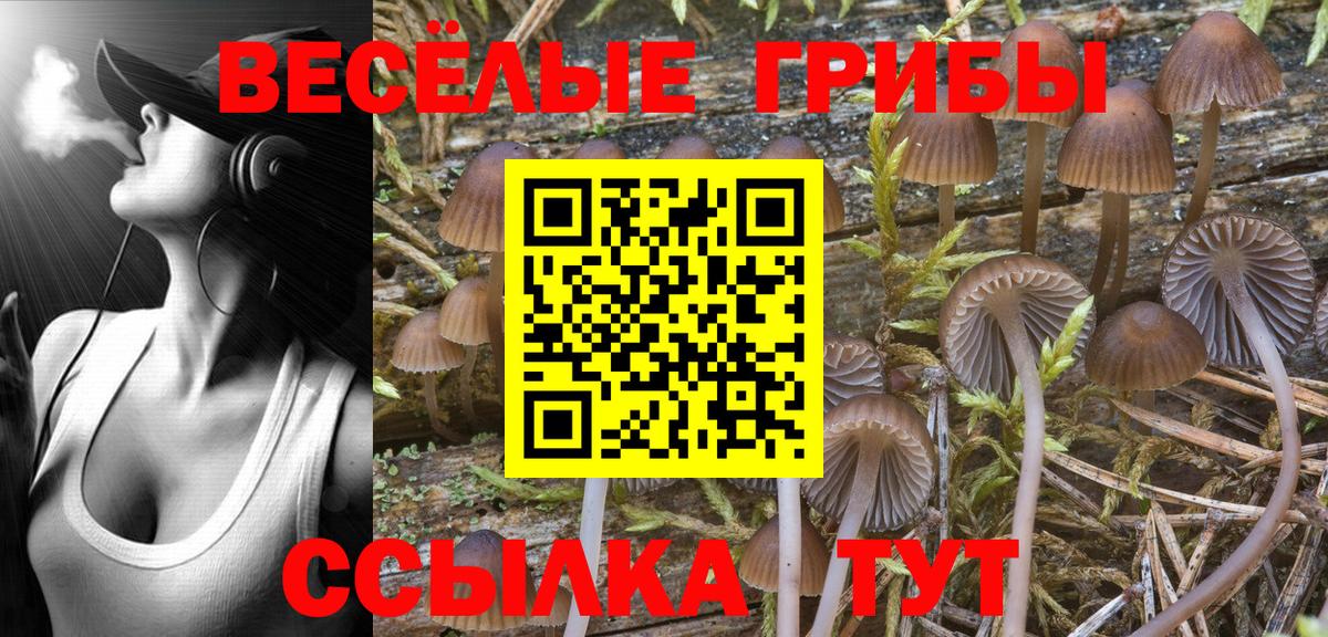 Галлюциногенные грибы Cubensis  Вход с VPN  Псилоцибиновые грибы ЛСД  Бузулук 
